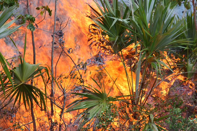 Fire On Refuges. Photo Credit USFWS
