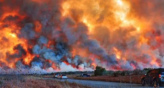 Palm Bay Wildfire. Photo credit Michelle Haro